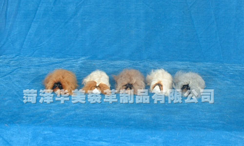 D107W,HEZE YUHANG FURRY PRODUCTS CO., LTD.